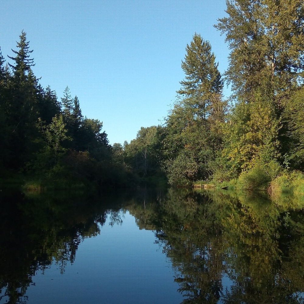 Meet your Posher, Jana